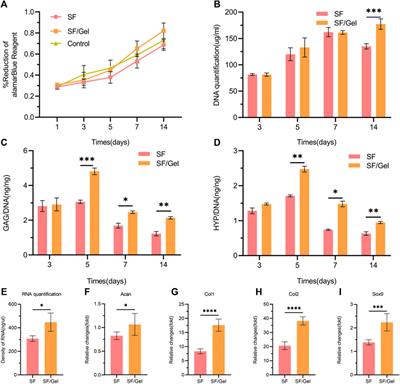 High-strength and high-elasticity silk fibroin-composite gelatin biomaterial hydrogels for rabbit knee cartilage regeneration